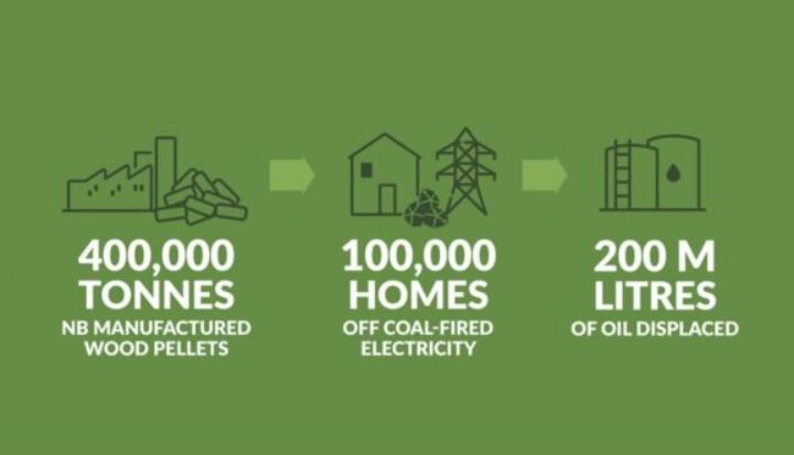全球48%的木屑顆粒消費(fèi)來自住宅和商業(yè)建筑。從2020年到2021年，歐洲家庭生物質(zhì)消費(fèi)量增長(zhǎng)了18%，商業(yè)應(yīng)用增長(zhǎng)了12.5%。