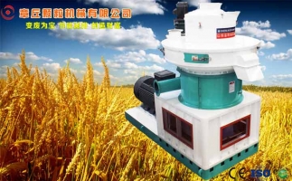 中國創(chuàng)新提速，綠色經(jīng)濟之離心高效環(huán)模顆粒機