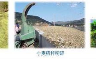 農(nóng)民科學發(fā)展新思路，秸稈綜合利用成為賺錢好門路之秸稈顆粒機