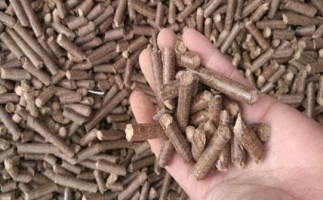 鋸末顆粒機生物質(zhì)燃料與燃煤對比情況如何？