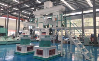 木屑顆粒機多少錢一臺?建顆粒廠大約多少錢？