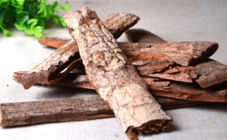 木材加工廠的廢棄物刨花能夠用來(lái)做什么？鋸末顆粒機(jī)告訴你
