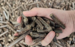 木屑燃料顆粒熱值多少大卡，完全取決于燃料的原料
